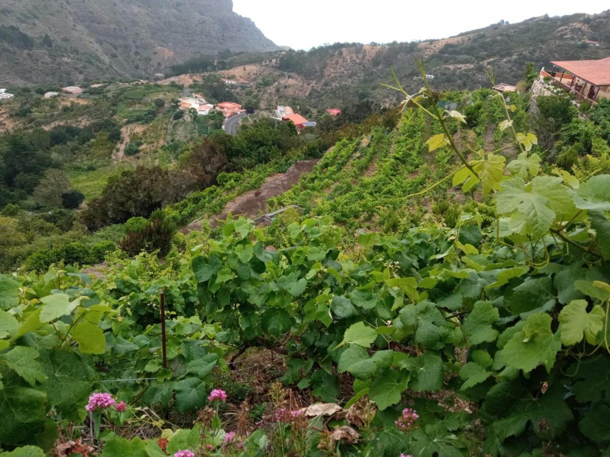 Quilla Holiday home Agulo